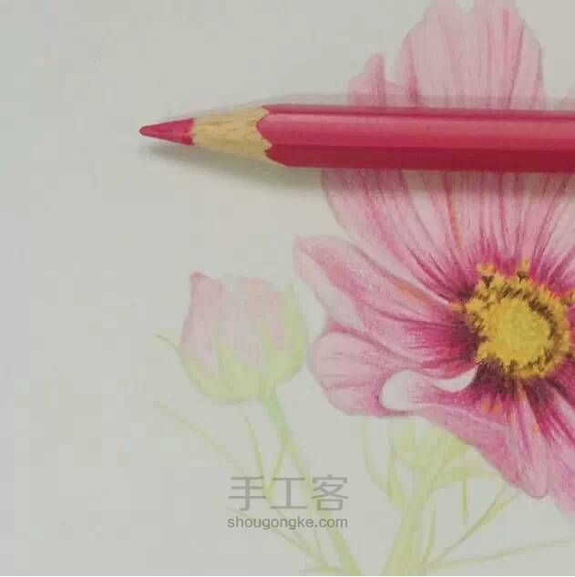 教程：用心画一朵花【转】 第13步