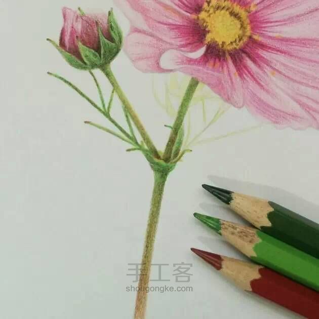 教程：用心画一朵花【转】 第18步