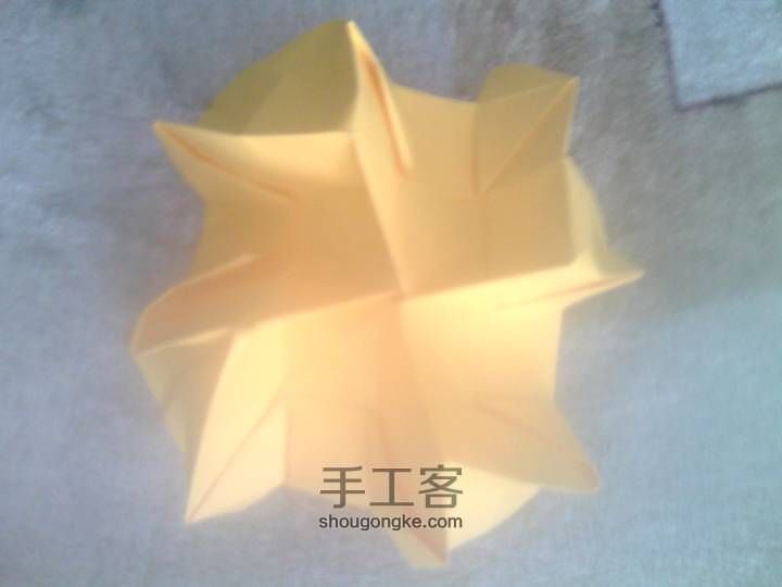 又是一朵玫瑰 第24步