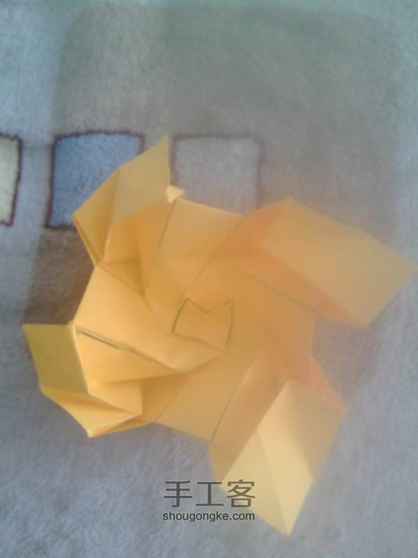 又是一朵玫瑰 第28步