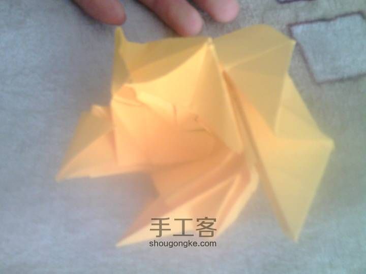 又是一朵玫瑰 第32步