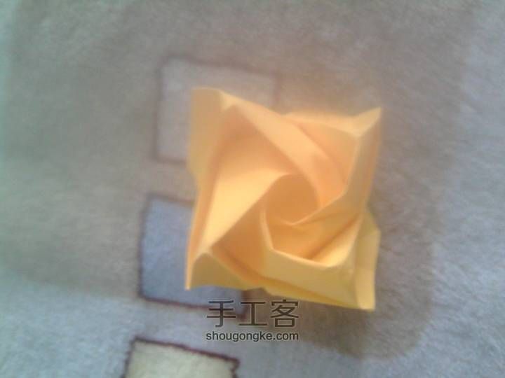 又是一朵玫瑰 第35步