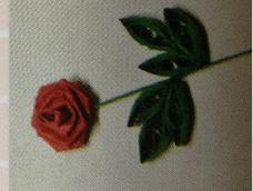 漂亮的衍纸玫瑰，十分简单