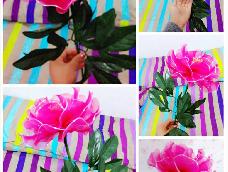 丝网花又称丝袜花，是一种很像丝袜材料做成的，做出来的花非常逼真，漂亮。这次的教程练得是如何制作牡丹。
