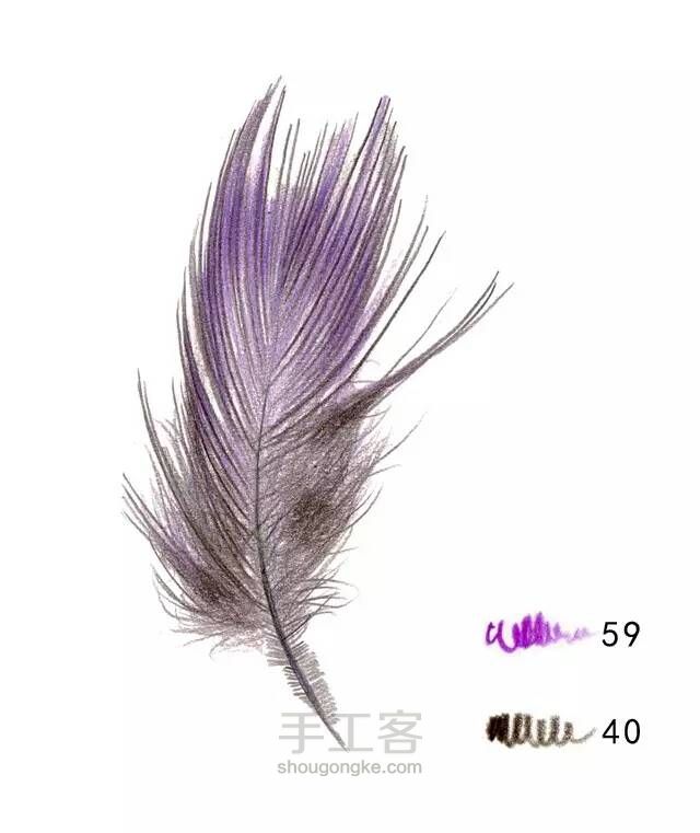 如何快速画一支漂亮的羽毛？【转】 第18步