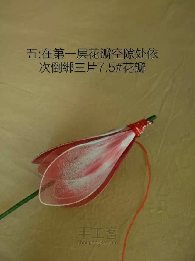 丝网莲花教程 第5步