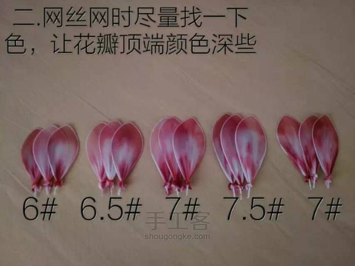 丝网莲花教程 第2步