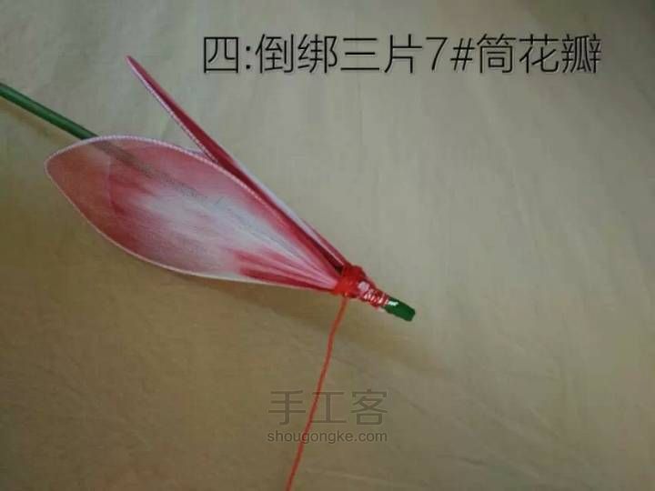 丝网莲花教程 第4步