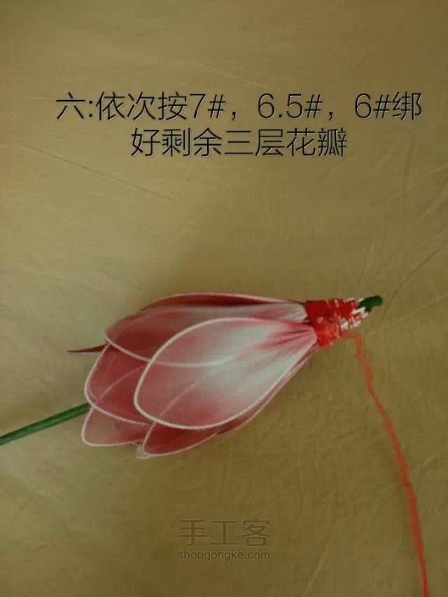丝网莲花教程 第6步