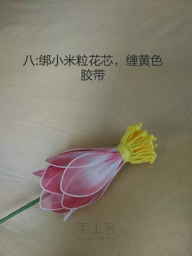 丝网莲花教程 第8步