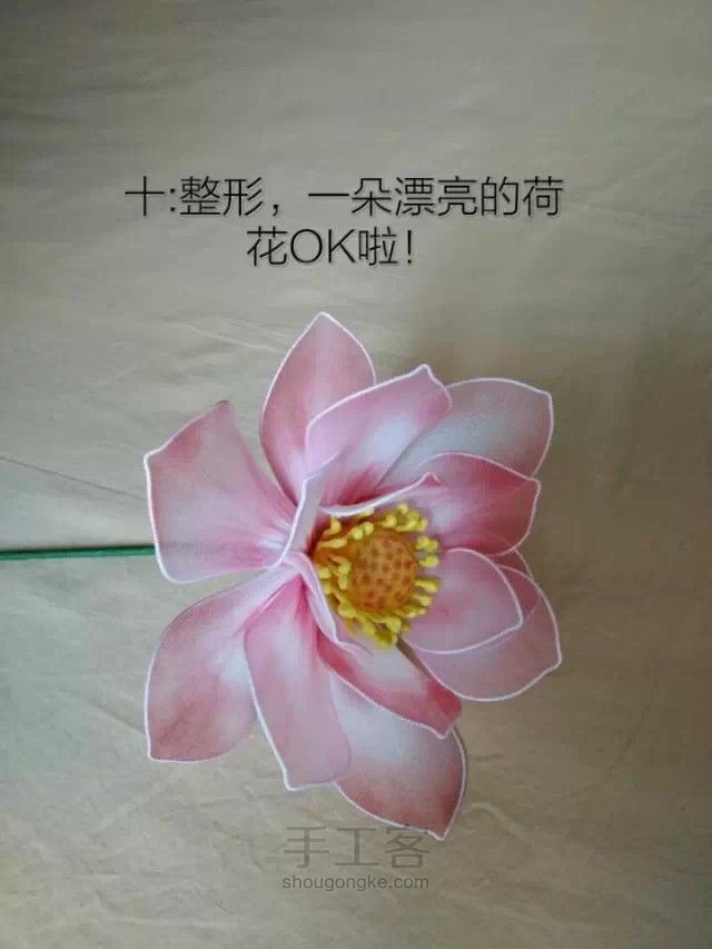 丝网莲花教程 第10步