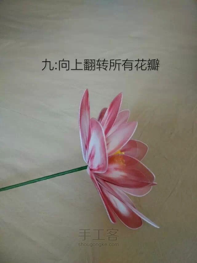丝网莲花教程 第9步