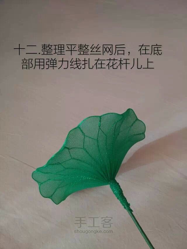 丝网莲花教程 第23步