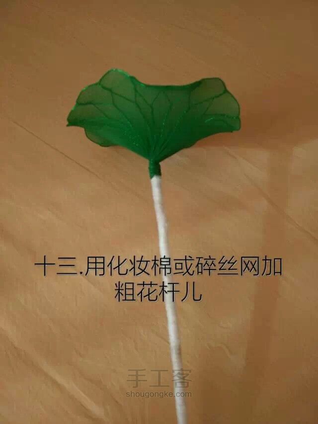 丝网莲花教程 第24步