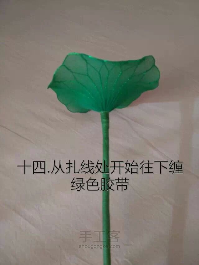 丝网莲花教程 第25步