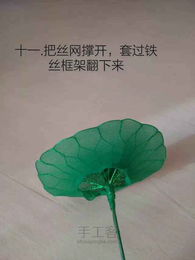 丝网莲花教程 第22步