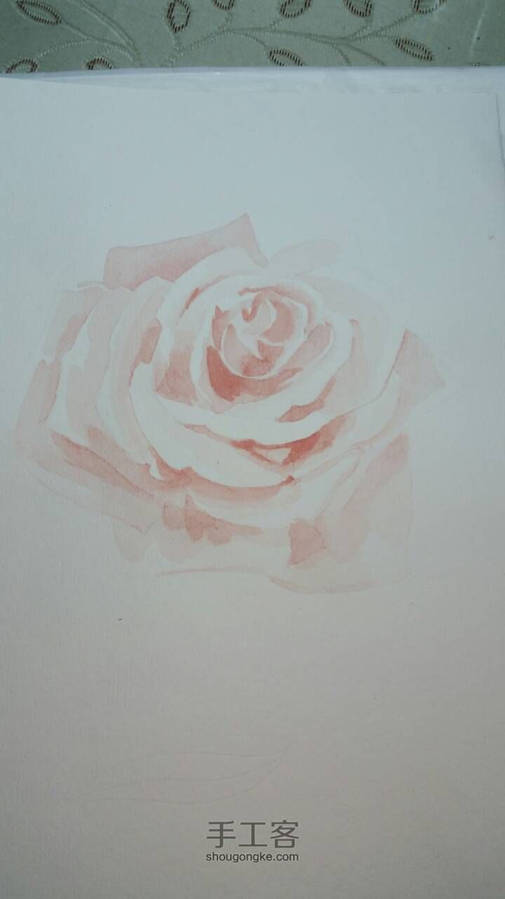 水彩手绘玫瑰 第2步