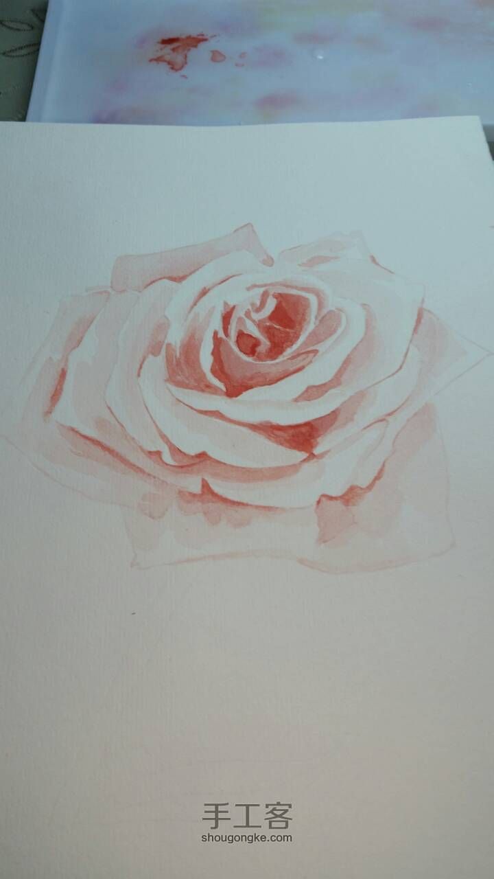 水彩手绘玫瑰 第3步