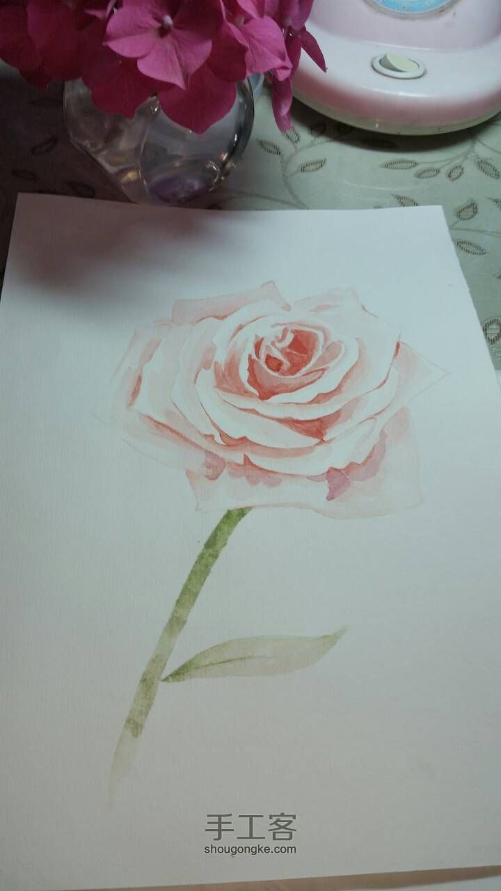 水彩手绘玫瑰 第4步