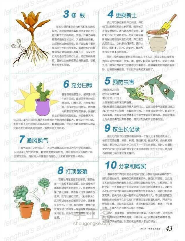 30多种常见花卉养殖方法！ 第26步