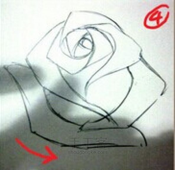 玫瑰花画法 第11步