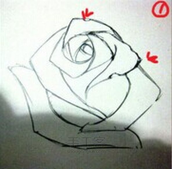 玫瑰花画法 第12步