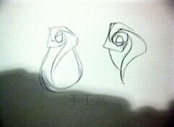 玫瑰花画法 第18步