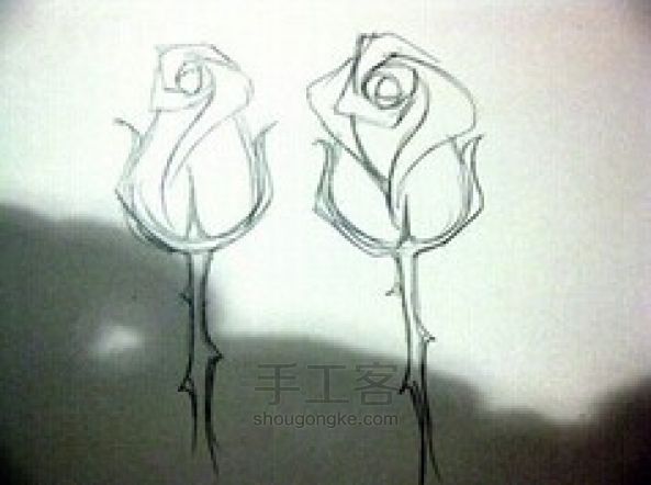 玫瑰花画法 第20步