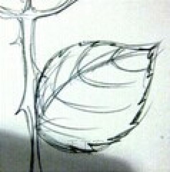 玫瑰花画法 第23步