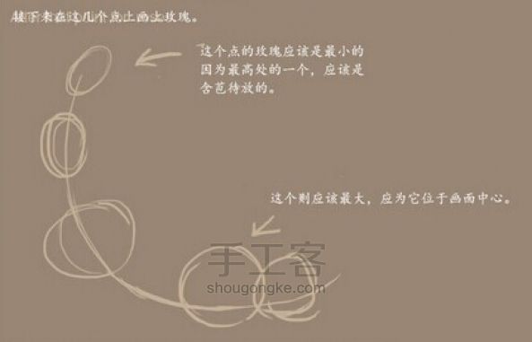 玫瑰花画法 第25步