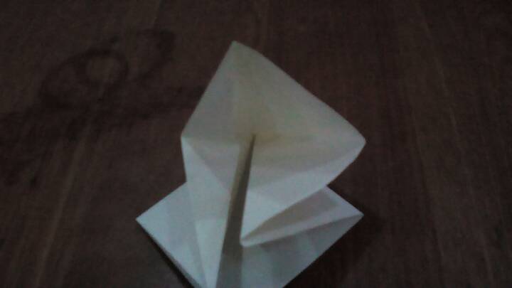 简单折纸百合 第7步