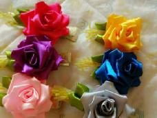 超美的玫瑰花