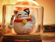 招财猫（Lucky cat）是日本传统文化中常见的猫型偶像摆设，被视为一种招财招福的吉祥物。
招财猫通常采用陶瓷制作，一般为白色，形态为其中一手高举至头顶，作出向人招来的手势。一般举左手表示招福；举右手寓意招财；两只手同时举起，就代表“财”和“福”一起到来。此外，其胸前挂着的金铃，也有开运、招财、招福、缘起之意。不同颜色的招财猫代表了主人不同的愿望，表达了人类亘古不变的对幸福、美满、好运的希冀。