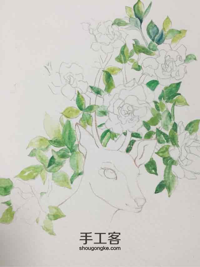 【Cinne手绘教程】清绿白茶 水溶彩铅的小清新 第5步