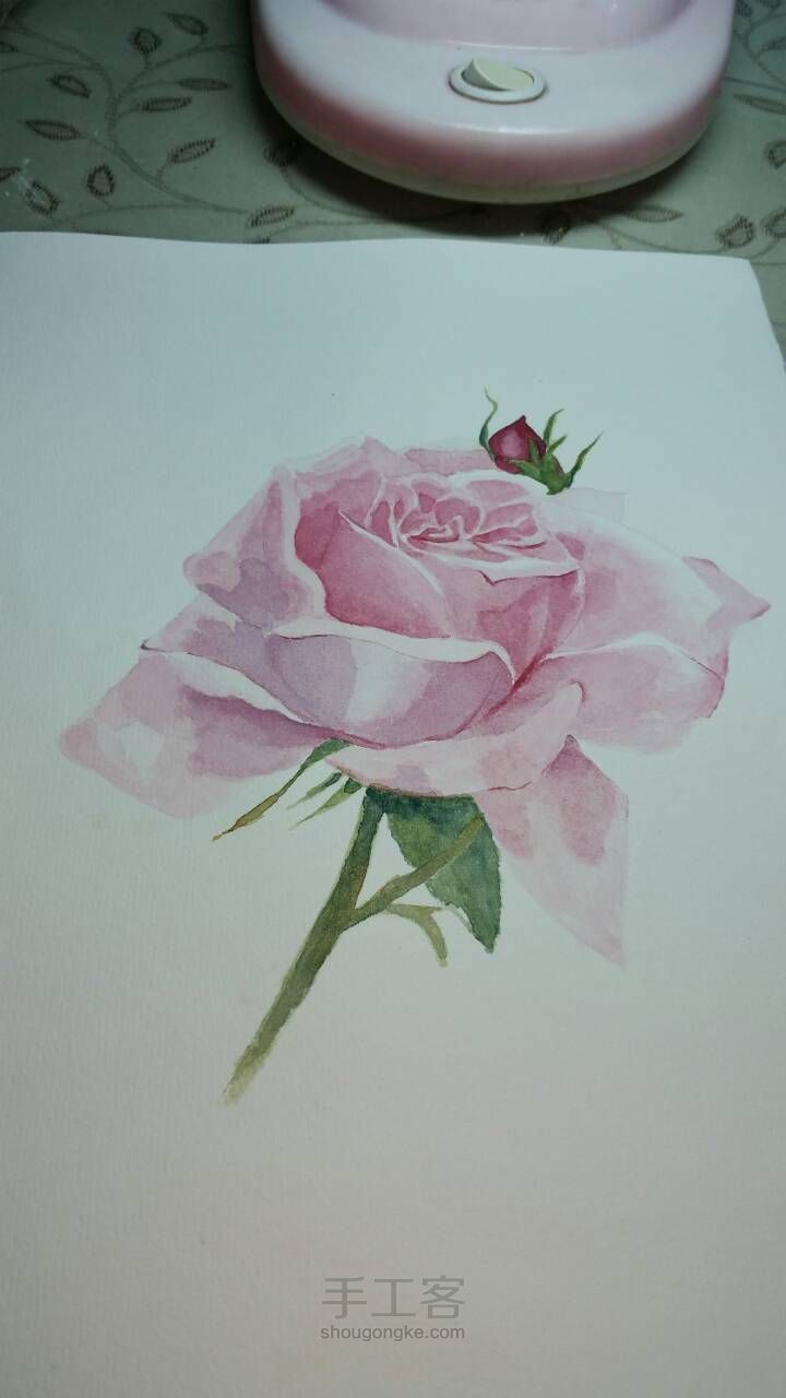 水彩手绘玫瑰 第7步