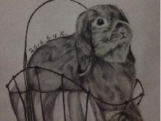 一只铅笔画可爱垂耳兔
