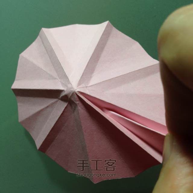 简单明快的折纸波斯菊 第8步