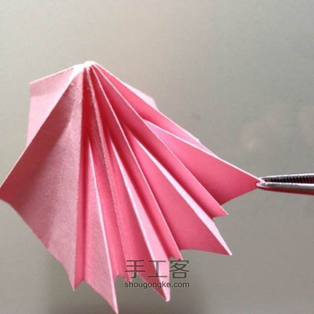 简单明快的折纸波斯菊 第9步