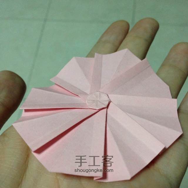 简单明快的折纸波斯菊 第12步