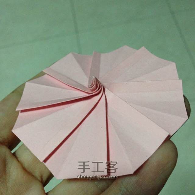 简单明快的折纸波斯菊 第11步
