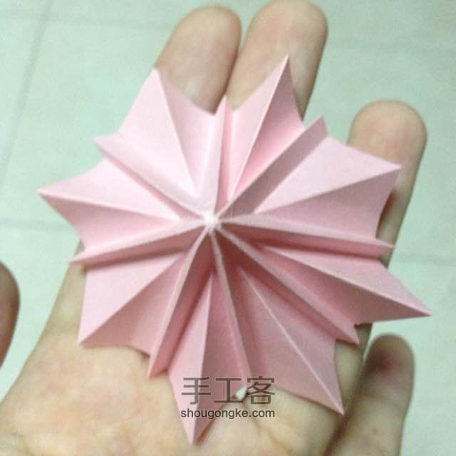 简单明快的折纸波斯菊 第10步