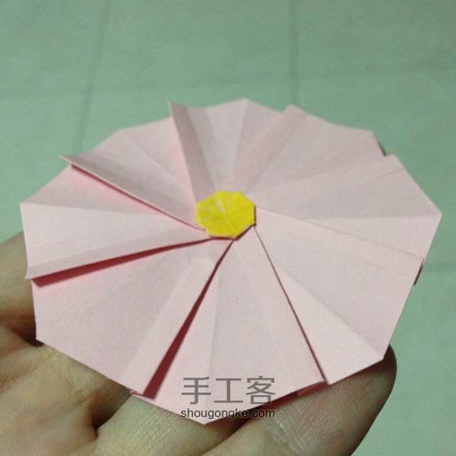 简单明快的折纸波斯菊 第13步