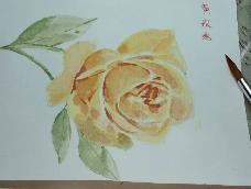 分步演示水彩玫瑰画法。