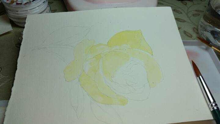 水彩手绘黄玫瑰 第2步