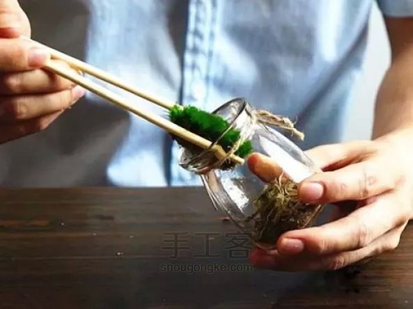 （螃蟹王国）苔藓微景观简易教程—7 第5步