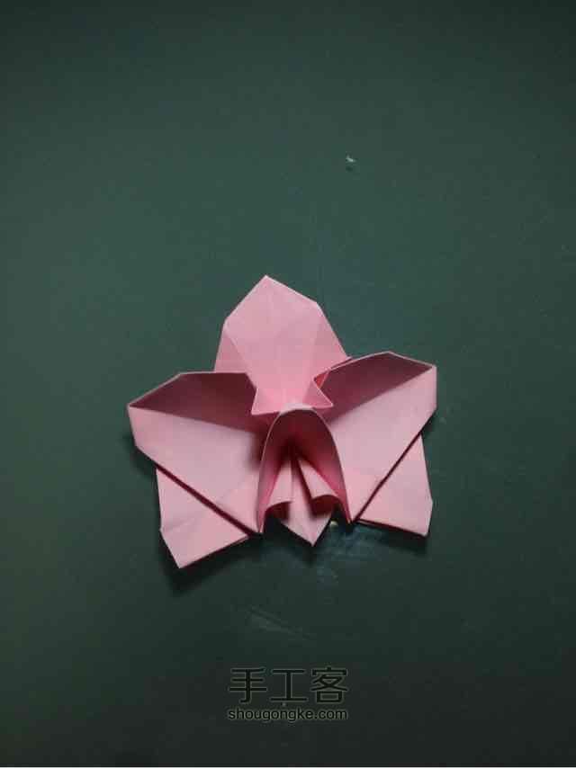 折纸蝴蝶兰 第1步