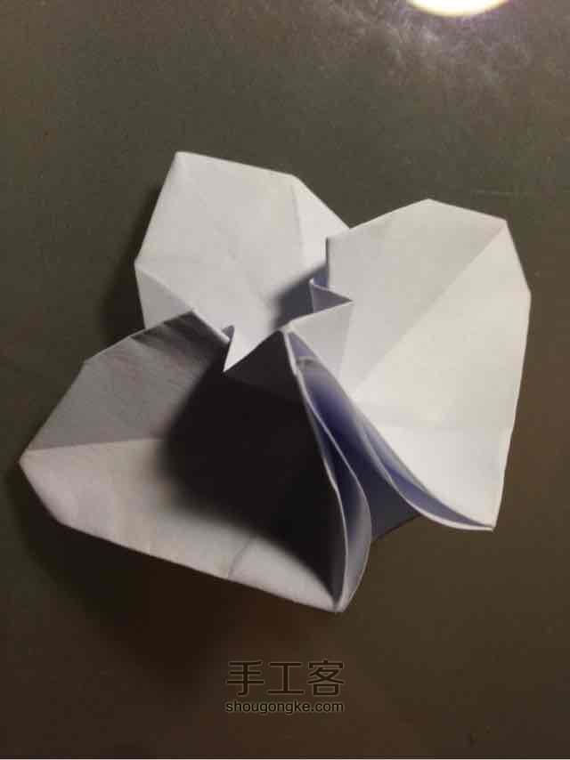 折纸蝴蝶兰 第30步
