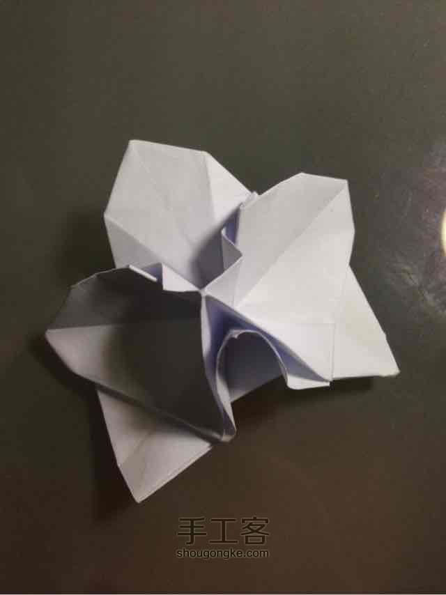 折纸蝴蝶兰 第33步