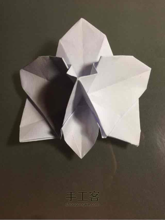 折纸蝴蝶兰 第34步