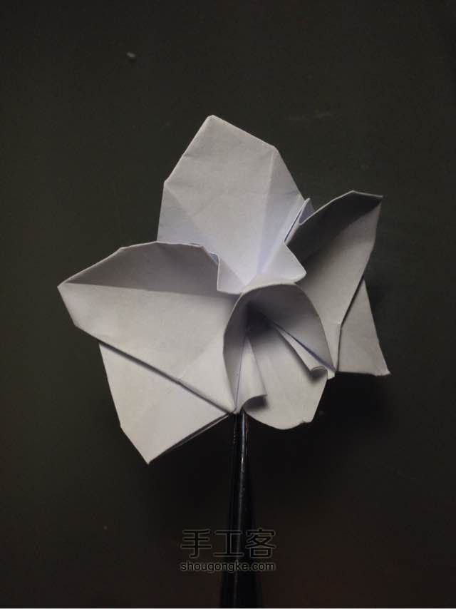 折纸蝴蝶兰 第35步